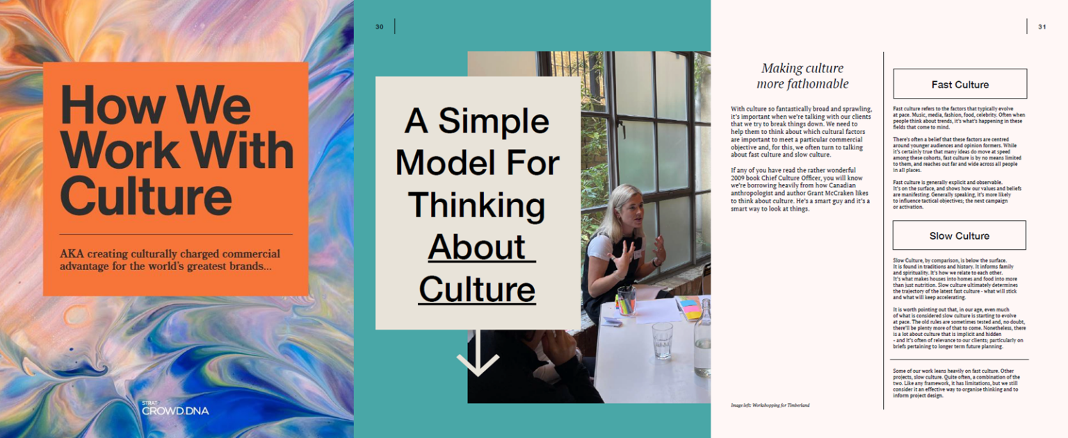 How We Work with Culture Ebook screenshot