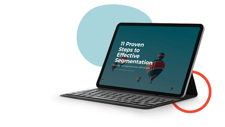 Segmentation 11 proven steps 1